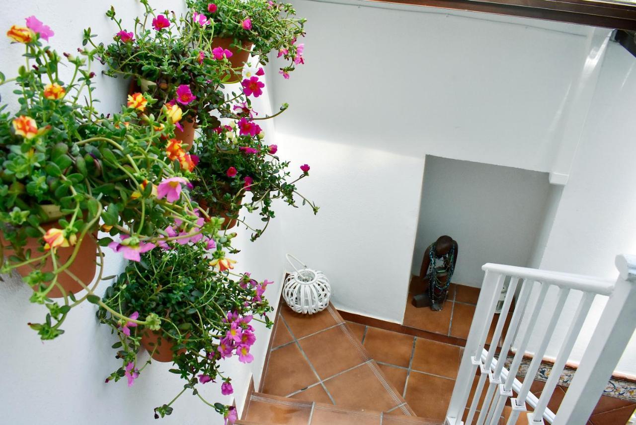 Casa Calma Ronda Estudio Διαμέρισμα Εξωτερικό φωτογραφία